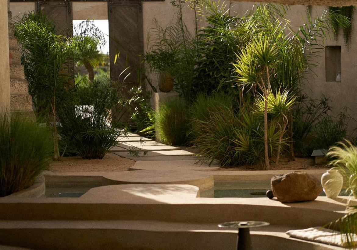 Ecohotel El Agua Arico el Nuevo Exteriör bild