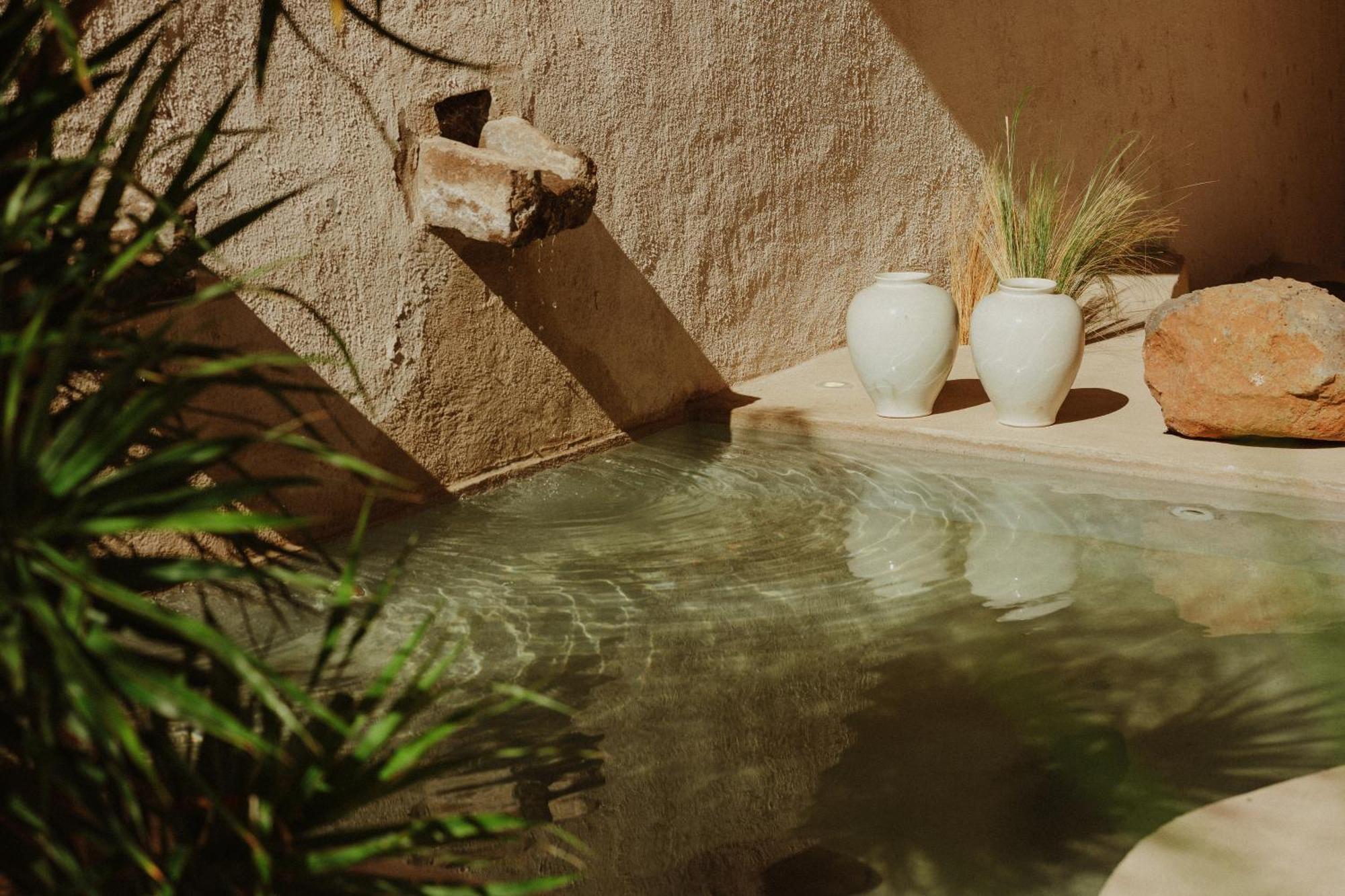 Ecohotel El Agua Arico el Nuevo Exteriör bild